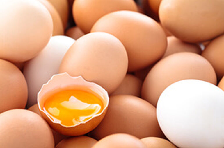 pc_img_food_detail_egg